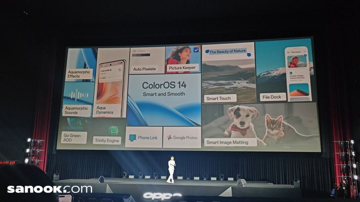 batch_img20240123180537_01