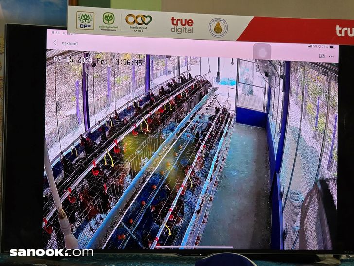 batch_20240315_135640