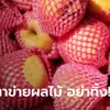 รู้ไว้ดีกว่า "ตาข่ายโฟมห่อผลไม้" ใช้ประโยชน์ต่อได้อีกมาก แถมช่วยประหยัดเงิน