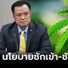 “อนุทิน” ชี้ ดึงกัญชากลับยาเสพติด เปรียบนโยบายชักเข้า-ชักออก หวั่นนักลงทุนไม่เชื่อมั่น