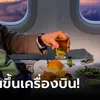 อย่าหาว่าไม่เตือน "ดื่มแล้วนอน" บนเครื่องบิน เสี่ยงหลับไม่ตื่น คนกลุ่มนี้ยิ่งต้องระวัง!